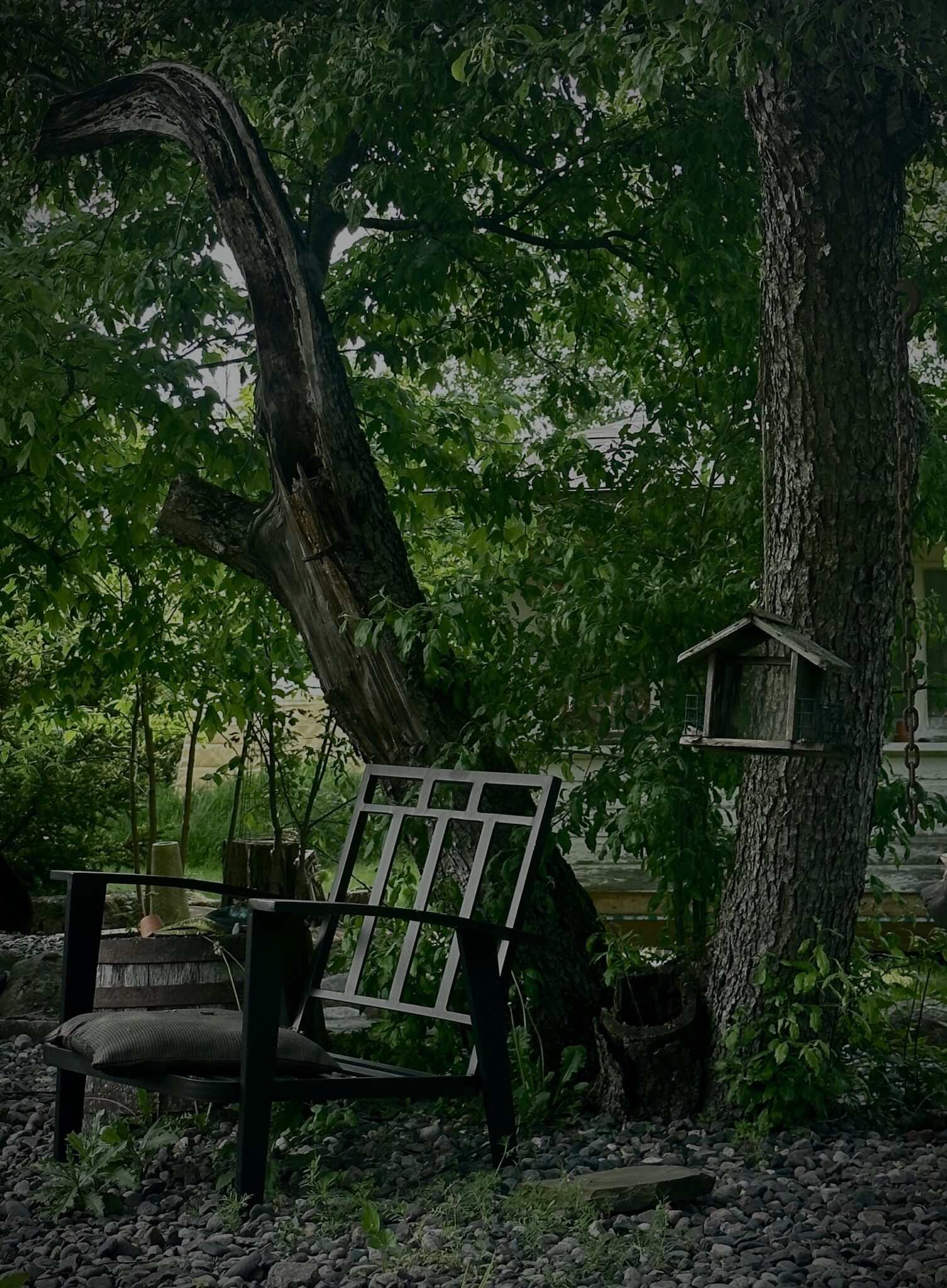 Image of a metal chair in front of a tree with a bird feeder hanging from it