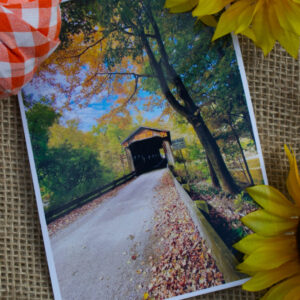Fall Leaves Bridge Photo Print