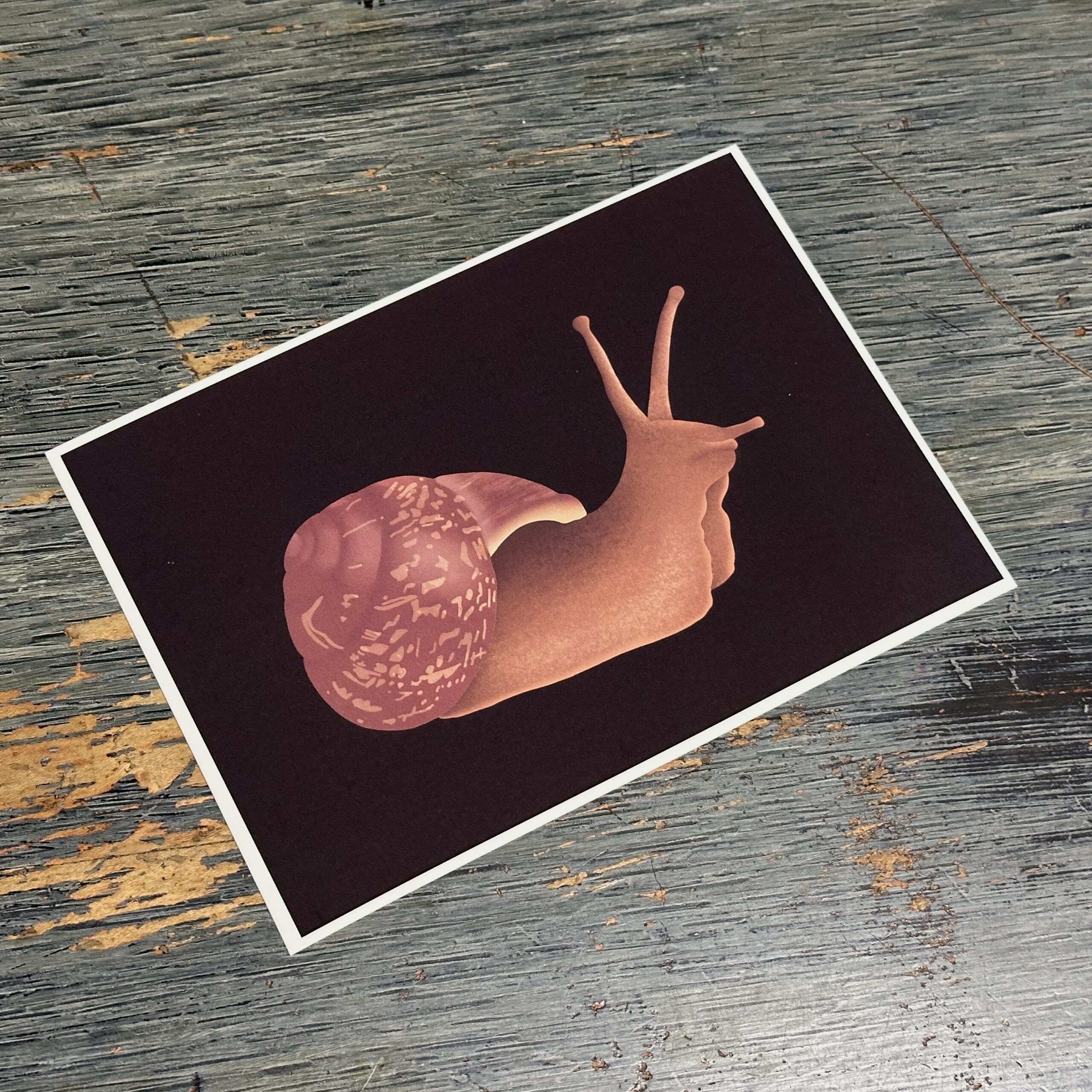 Hand-drawn Snail Art Print - Image 4