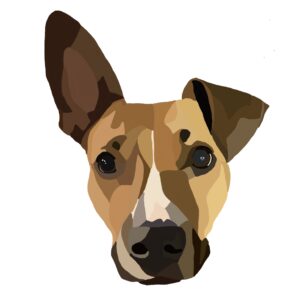 Personalized Hand Drawn Pet Portrait