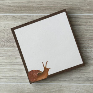 A square sticky notepad with a common garden snail on the lower left and a dark brown border