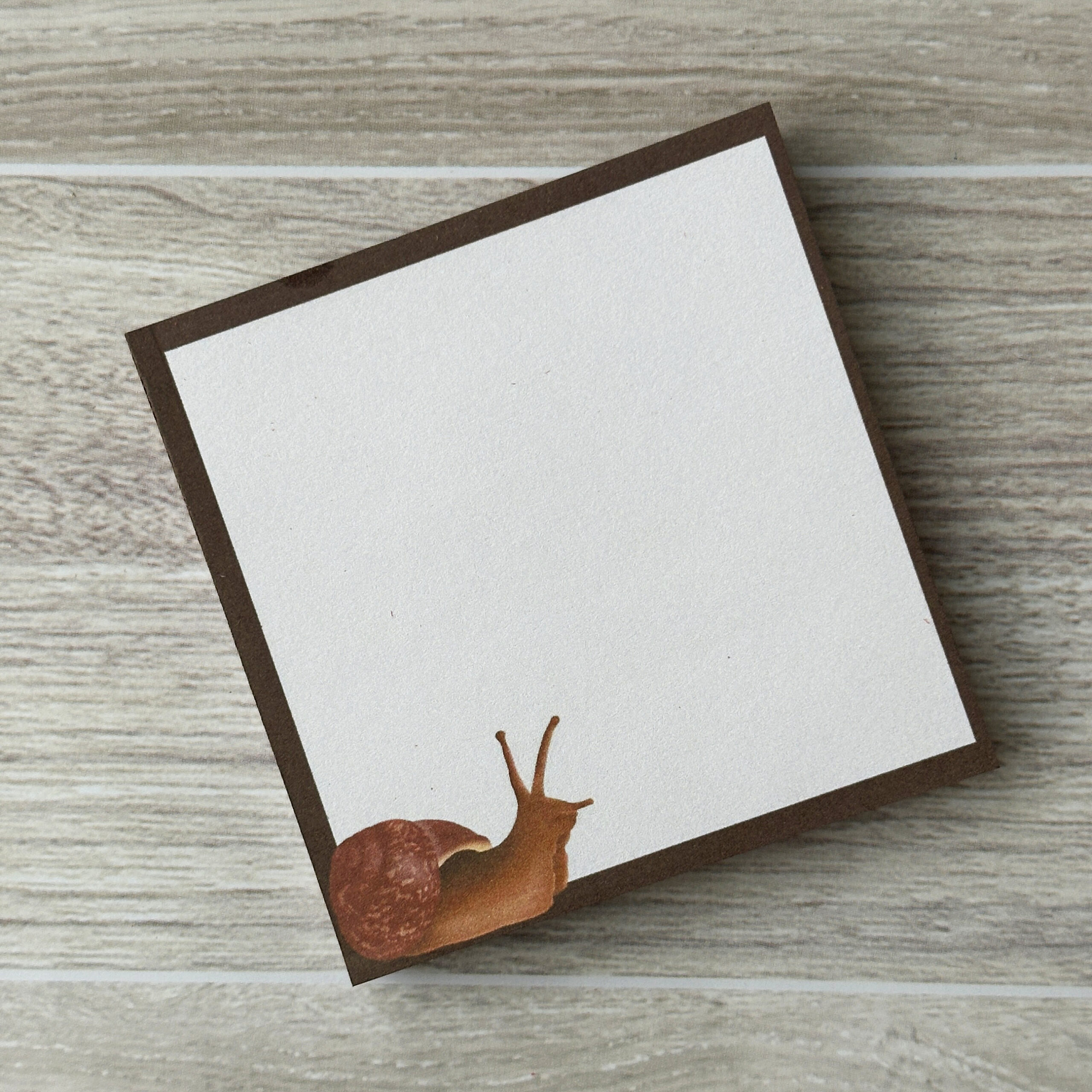 A square sticky notepad with a common garden snail on the lower left and a dark brown border