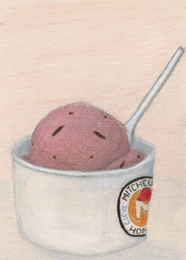 Fresh Strawberry Chocolate Chunk Art Print_001