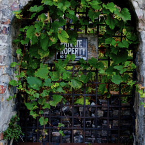 A door made of iron bars covered in green ivy with a light brick wall. The door has a sign that states "Private Property"