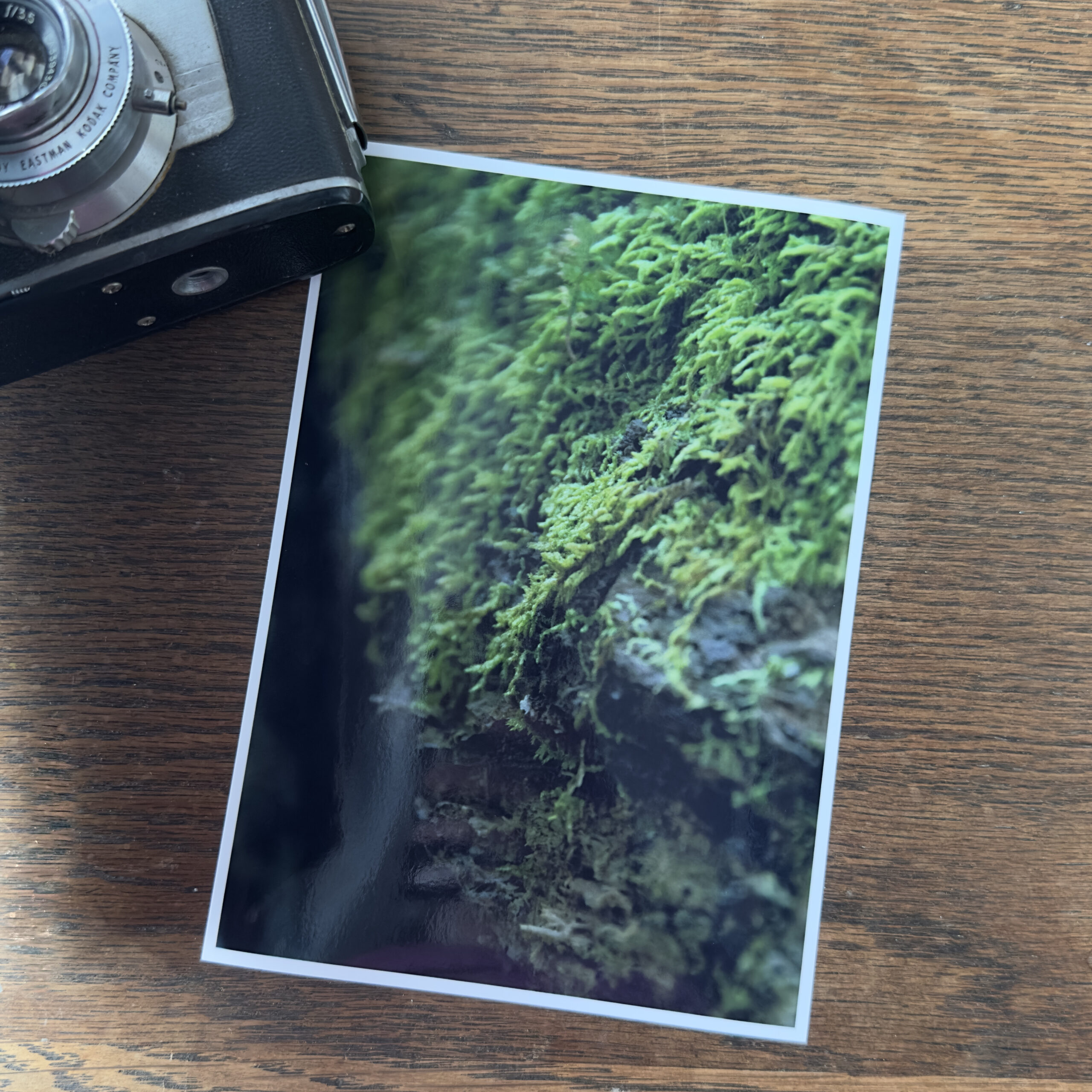 MOODYMOSS_camera