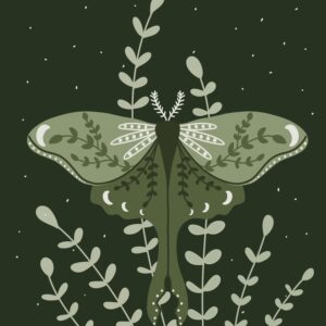 Drawing of a green luna moth and light green leaves on a dark green background