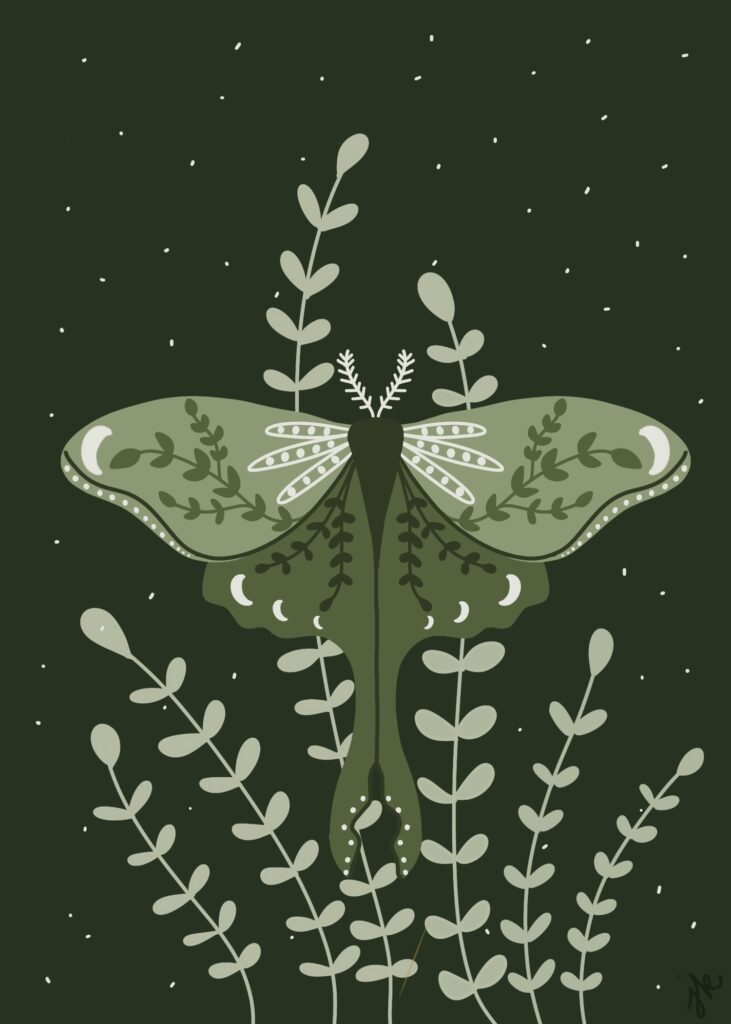 Drawing of a green luna moth and light green leaves on a dark green background