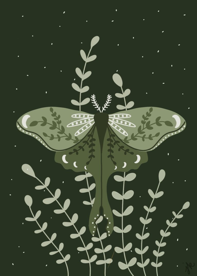 Luna Moth