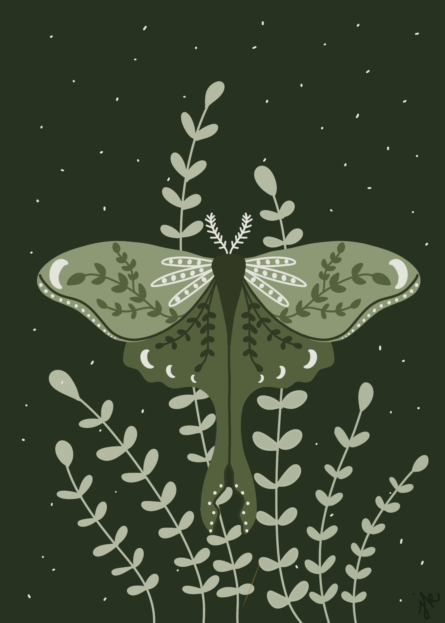 Drawing of a green luna moth and light green leaves on a dark green background