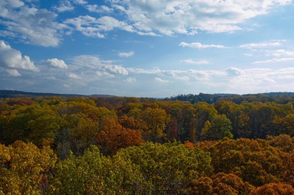 Overlook 3