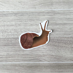 Garden Snail Vinyl Sticker
