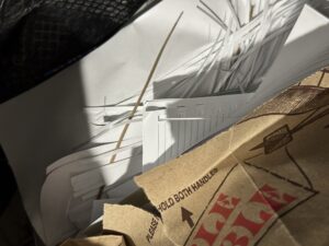 Paper cuttings in a Trader Joes paper bag 