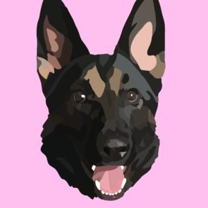 Hand Drawn Pet Portrait
