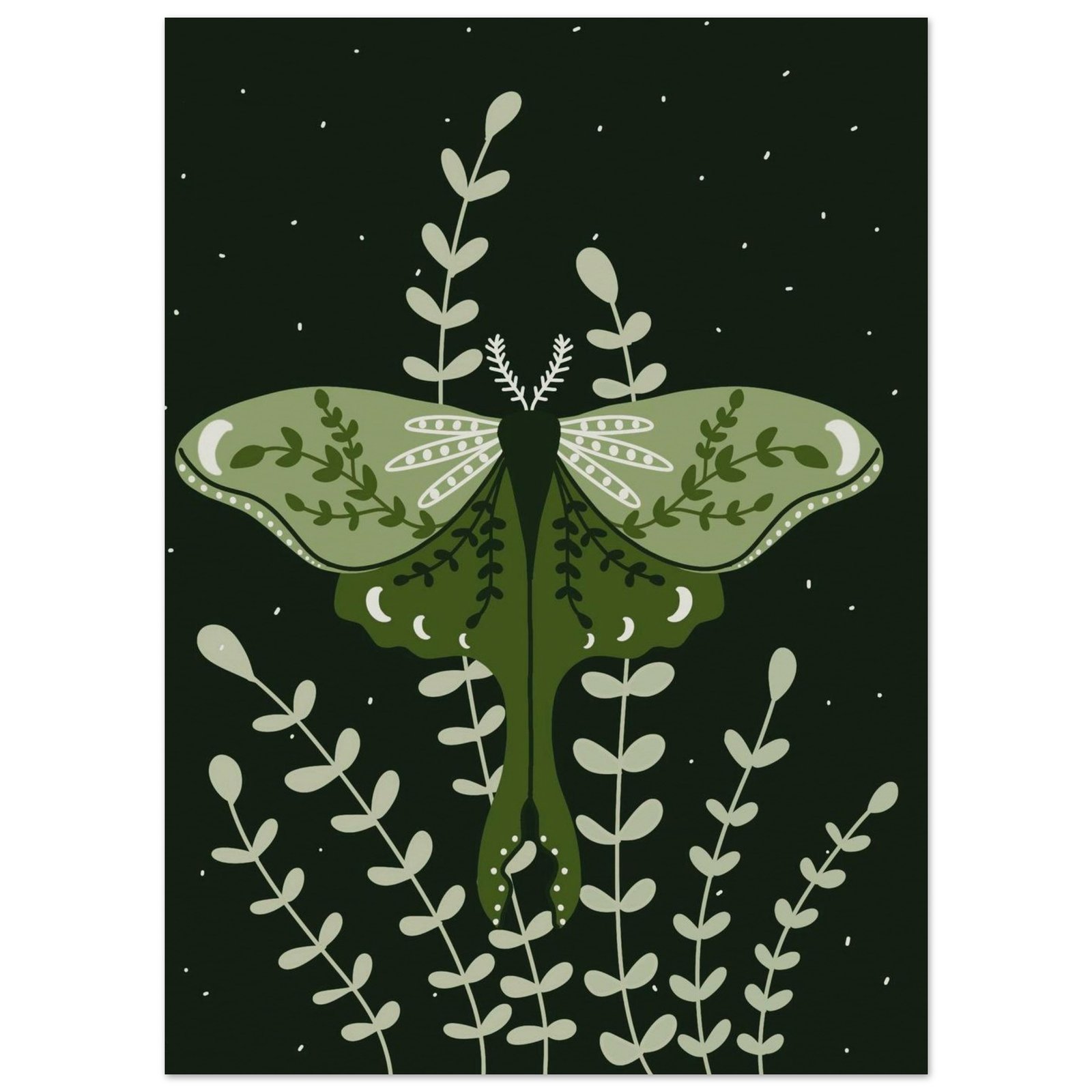 Luna Moth - Museum-Quality Matte Print