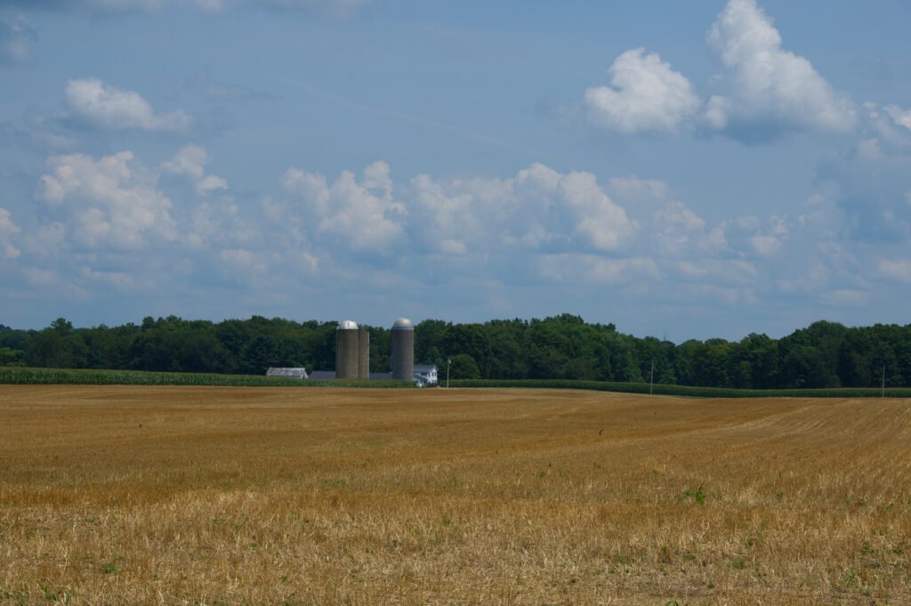 Plowed Field Farm